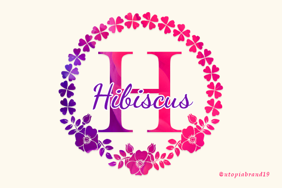 Hibiscus Monogram: The Perfect Font for Elegant Design
